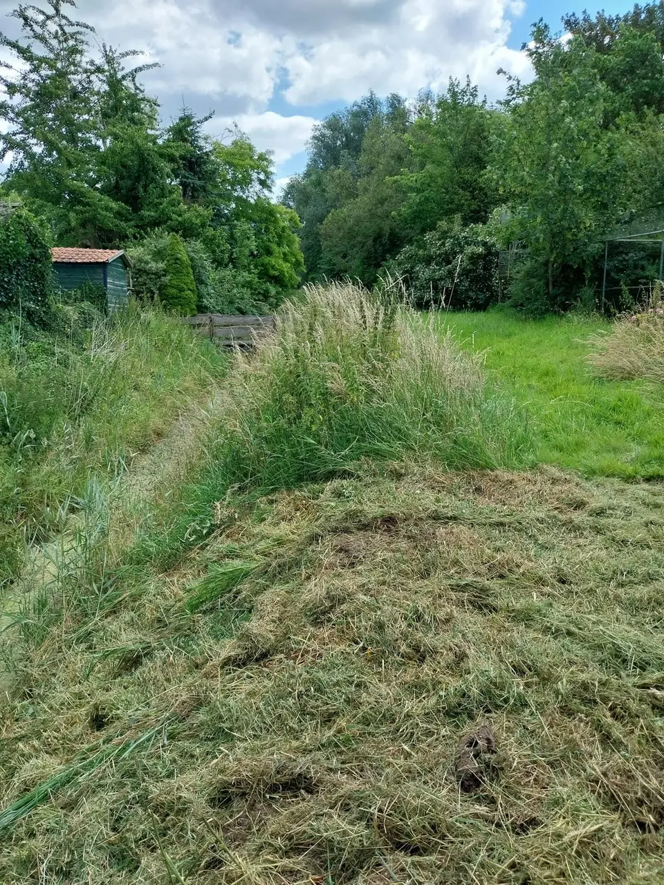 Gemaaid talud met het fijngeslagen maaisel erop